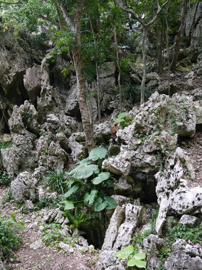 不思議な現象が起こるらしい、神々の井戸