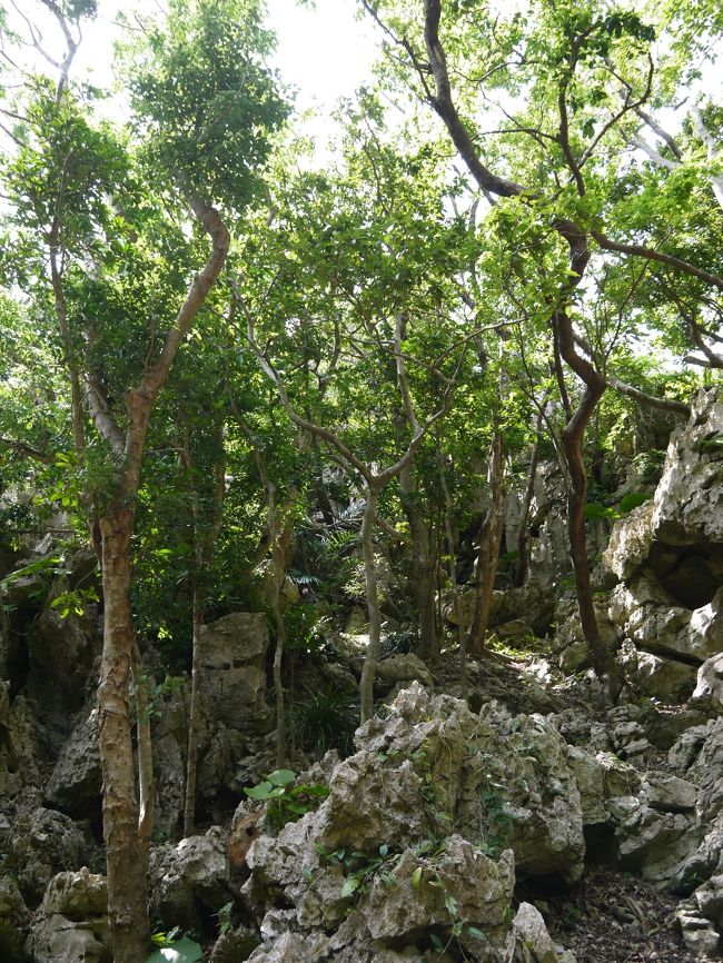 いたるところに拝所があるらしいです。何となく空気が違うような…