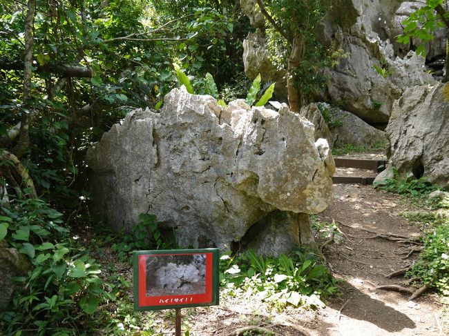 さらに登ります
