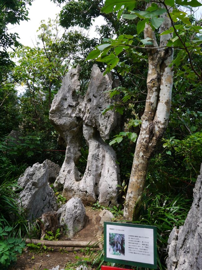 骨盤石　女性特有の病気の方の体調を整えたり、子宝に恵まれるそうです。