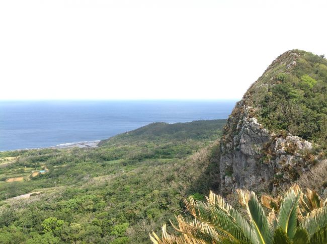 遠くにかすかにヤンバルクイナ展望台が見えます