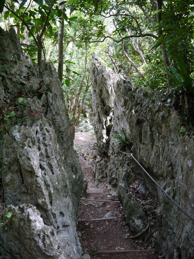 今度は下ります