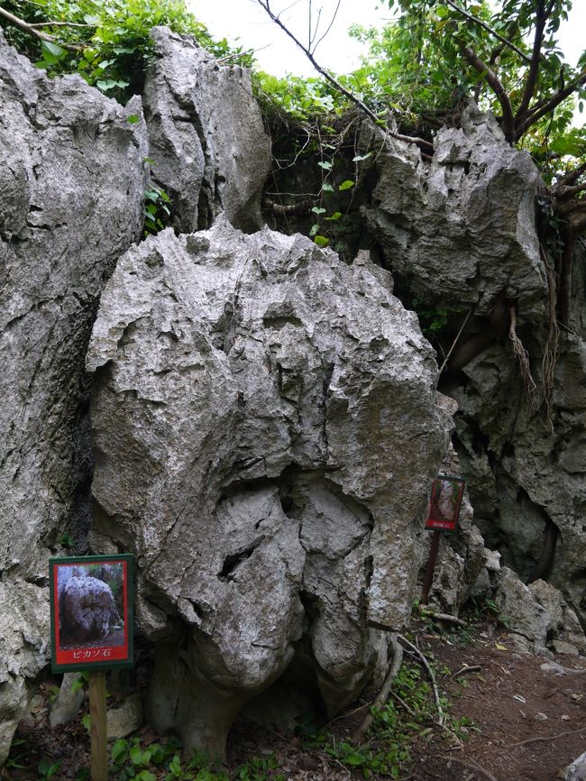 まだまだ色々な岩が