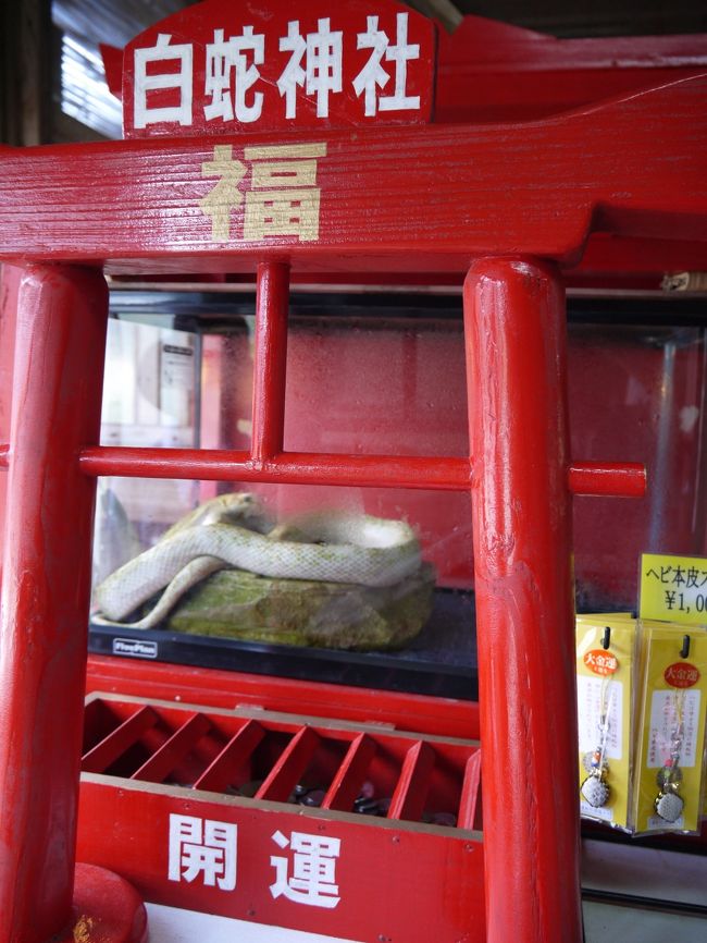 小屋内に生きた白蛇を祭った白蛇神社が