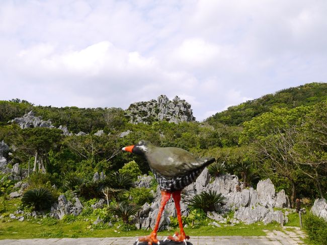 ヤンバルクイナの人形を入れて