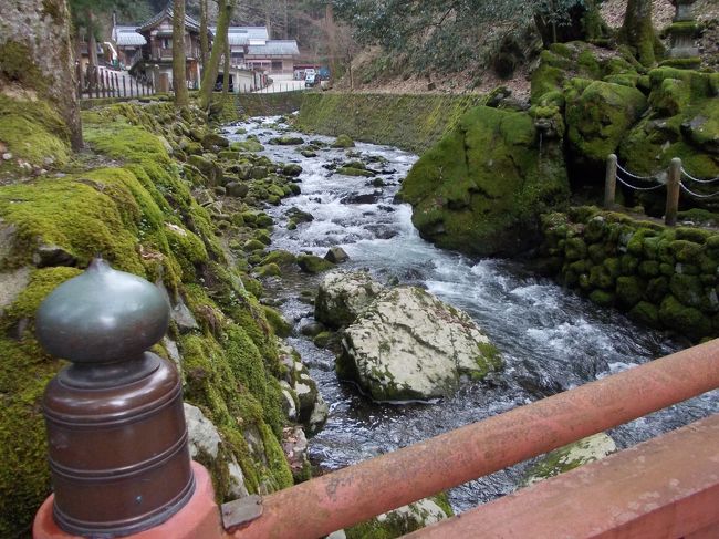 春夏秋冬いつでも美しいでしょう。