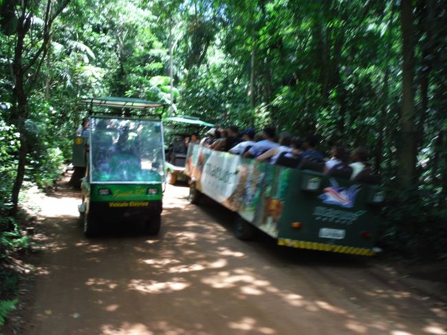 ボート乗り場に行くまで、先ず電気自動車に乗り、ジャングルを行く。