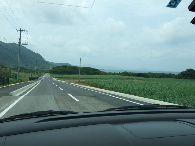 ＜レンタカー＞<br />２月上旬に予約。<br />既に軽自動車がなかった。。２日間半で２万円。<br />送迎がＨＰに書いてなかったけど電話したらＯＫでした。<br />http://www.paradise-rentacar.jp/<br /><br />３月末に安いレンタカー会社を発見したけど既に全車満車！<br />残念。<br />http://ishigaki-ocean.com/