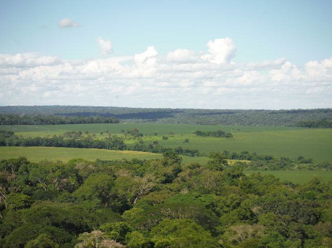 ヘリは揺れることなく上空に舞い上がった。<br />あの向こうの森の中に滝があるはずだ。