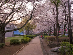 最後に寄り道じゃないですが、自宅から近い城北中央公園へ来ました。