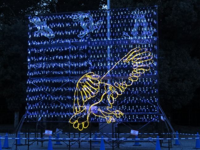 二の鳥居、正面にも光のイルミ「金色の鳶」を