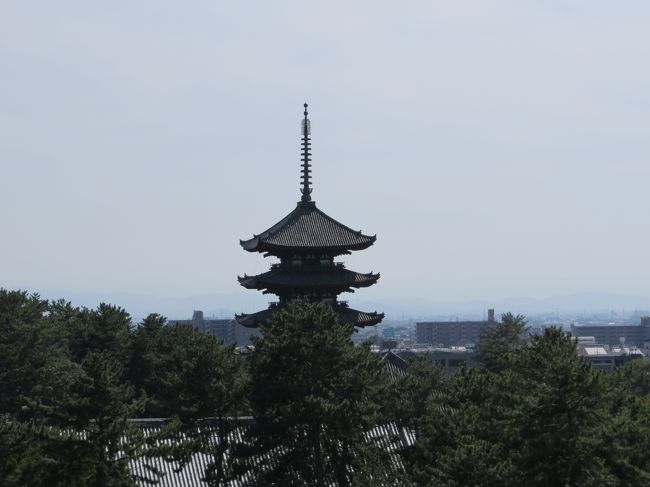 興福寺の五重塔<br /><br />すこし逆光です