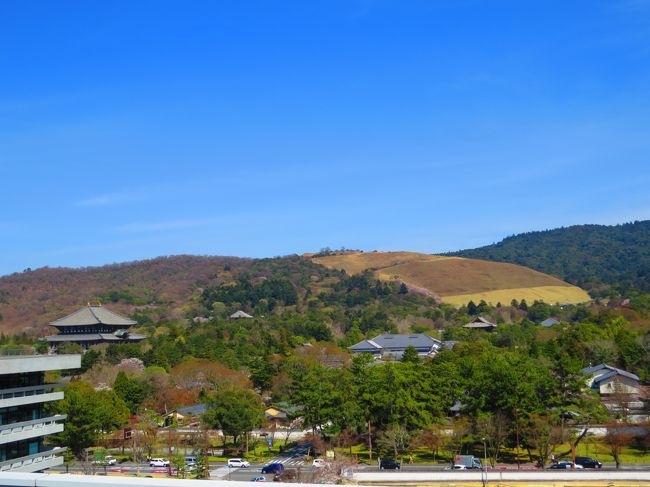 東大寺・若草山（極採色で撮影）