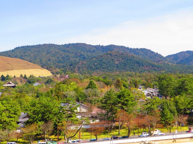 若草山と春日原生林・氷室神社（右下）