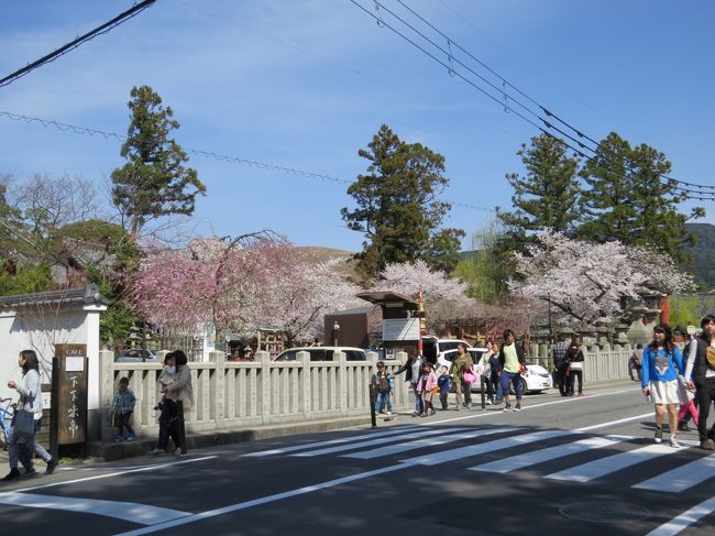 氷室神社が見えてきました<br /><br />入口　鳥居前に人だかり「なに！なに！」
