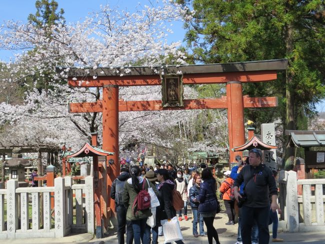 氷室神社・鳥居前<br /><br />１５分ほど待ちましたが<br />観光客減りません、諦めて仲間入り