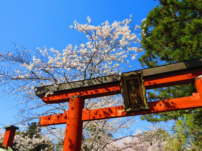 皆さんこれを狙っていました