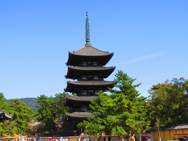 興福寺の五重塔<br /><br />やっぱり晴れた日の塔は綺麗だよ〜<br /><br />誰かさんが好きなのは解る様な（Ｇさんで〜す）<br /><br />あ、私もジーさんだ