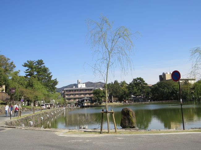 猿沢池、待ち合わせの場所に最適