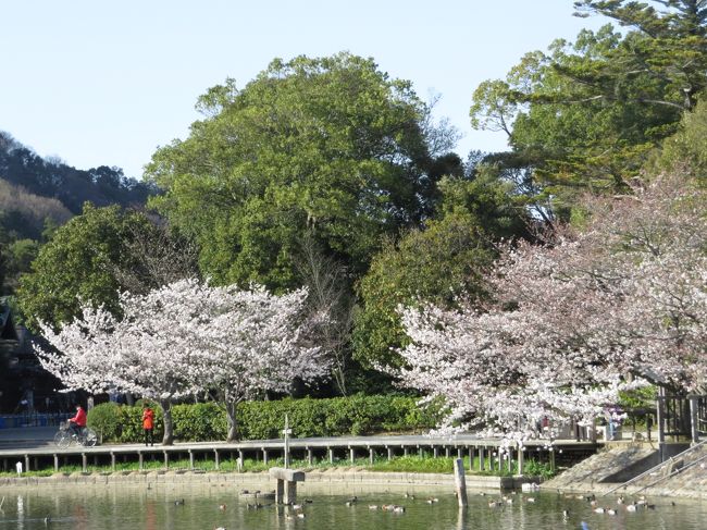 橿原神宮前駅に到着<br />時間があるので近辺をブラブラします