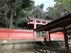 あまりアングルがよくありませんがこちらが若宮神社、重要文化財なんですよ。日本有数の古社だけあって歴史の重みを感じさせますよね。