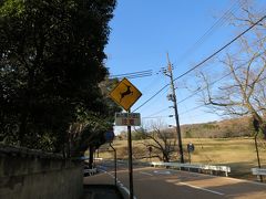 奈良公園に戻りましょう。いかにも奈良っぽい交通標識。