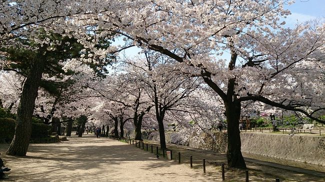 帰りは川の横にある公園の中を通って帰ることにしました。