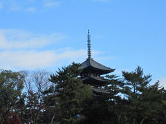 猿沢池からみた風景
興福寺の五重塔です。