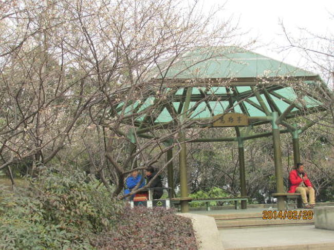 東屋。ここで一休み。<br />