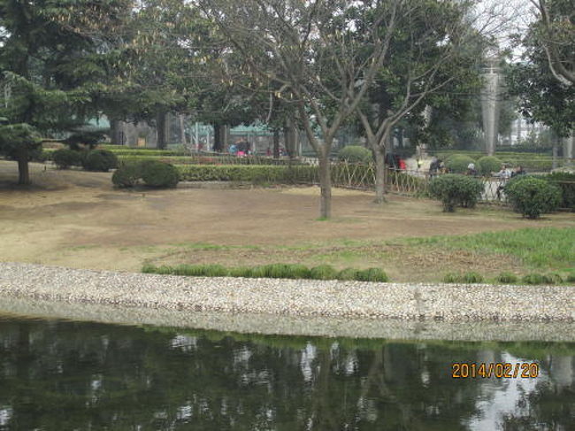 白いはなが咲いています。<br />