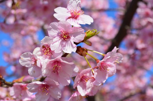 ズームイーン！