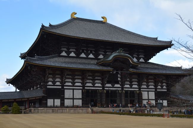 東大寺・大仏殿。<br />古都奈良のシンボル的な建築物。<br /><br />中門からつづく回廊から<br />目にした瞬間、思わず、<br />おー。と言っちゃうデカさ。<br />