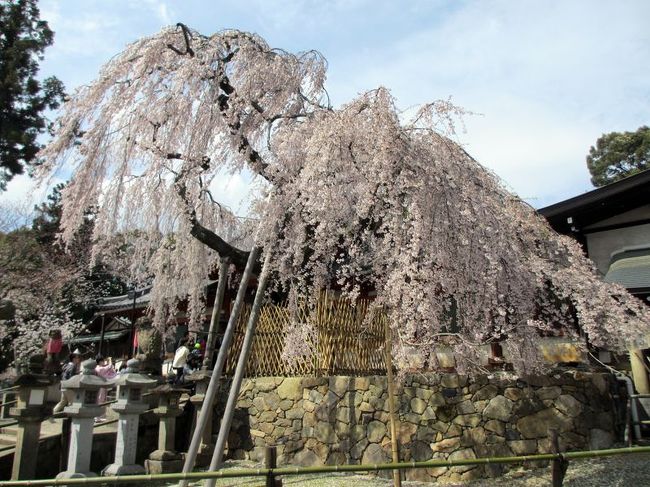 前のほうに近づいてみましょ〜。