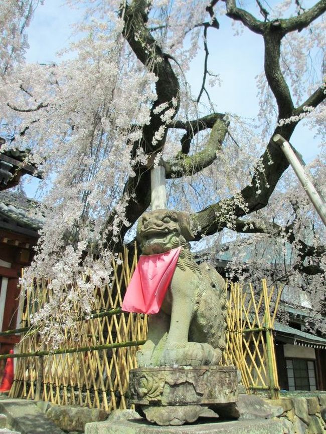 角度を変えたりして、ここでもしつこく撮る私(笑)