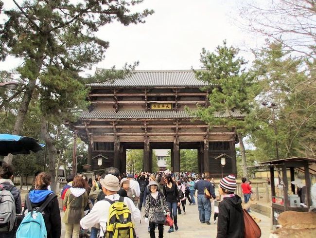 参道の途中で色々と足止めを食らい(笑)、まだ南大門をくぐってない私。<br />きっと母はイラッとしてたと思う(笑)