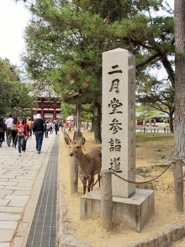 大仏殿に行く時間は無いので、今日はここから右へ入ります。<br />鹿さん、お出迎えありがとう(笑)