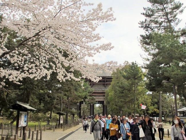 南大門へ戻ります。<br />大手旅行会社のツアーご一行様とすれ違い、この後、外国人やらものすごい人で、逆流するのが大変なほどでした(^-^;