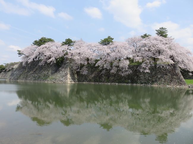 桜競演 名古屋市内の桜の名所をぐる り散策 疲れました 鶴舞 堀田 愛知県 の旅行記 ブログ By Rinnmamaさん フォートラベル 桜競演 名古屋市内の桜の名所をぐる り散策 疲れました 鶴舞 堀田 愛知県 の旅行記 ブログ By Rinnmamaさん フォートラベル