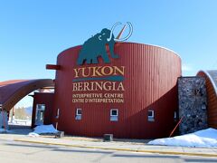 ベリンジア博物館（Yukon Beringia Interpretive Centre）に12時の開場と同時に入ります。
入場料は大人6ドルです。
冬期は日曜日と月曜日しか開いていません。