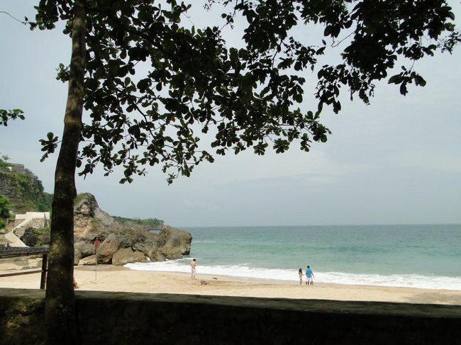 日陰のベッドを確保☆