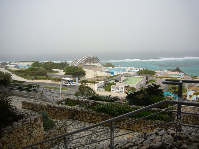２日目<br />朝食後　美ら海水族館へ