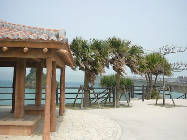 美ら海水族館を後に古宇利島へ