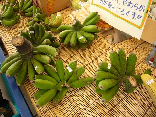 古宇利大橋を渡ってすぐのお店に寄りました<br />こんなバナナも売っていました<br />