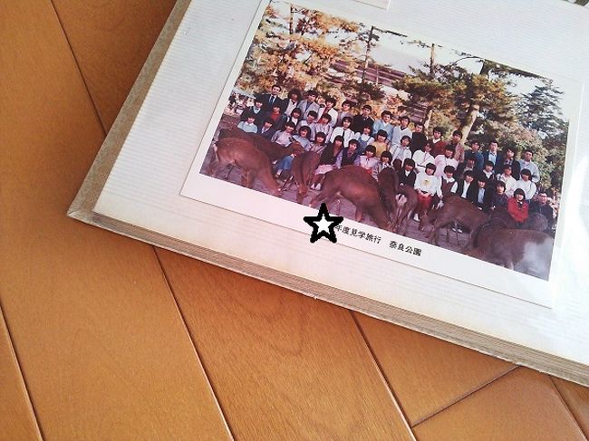 家に帰ってから、修学旅行、<br />ここ奈良公園での集合写真を発見。<br />ってか、発掘。<br />たくさんの鹿も写ってます。<br /><br />