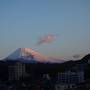 桜と富士山を愛でる旅  <地獄から天国へ>