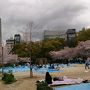 奈良（宇陀・桜井・明日香）の花めぐり１　大野寺・長谷寺　