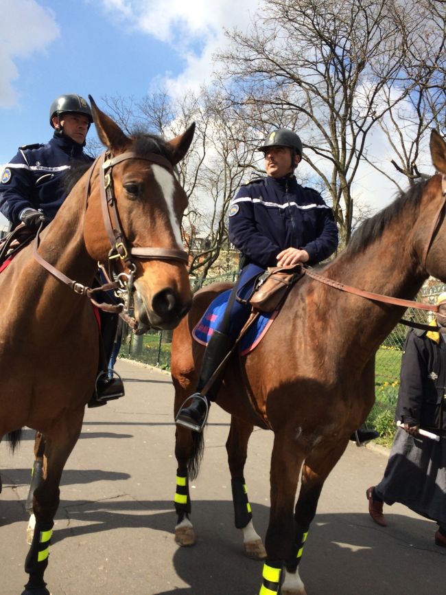 初めて出会った馬に乗った警察官。不法販売を一層掃除。