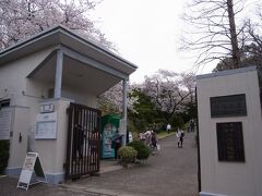 桜並木を抜け、標識に沿って歩いて行くと、小石川植物園に到着です。
入り口で入場料400円を払います。