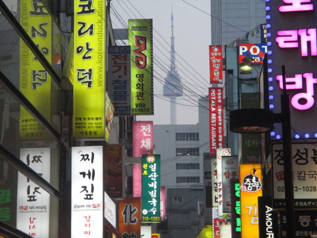 ソウルタワーも見えました。