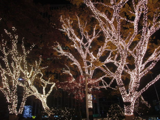 イルミネーションが綺麗！